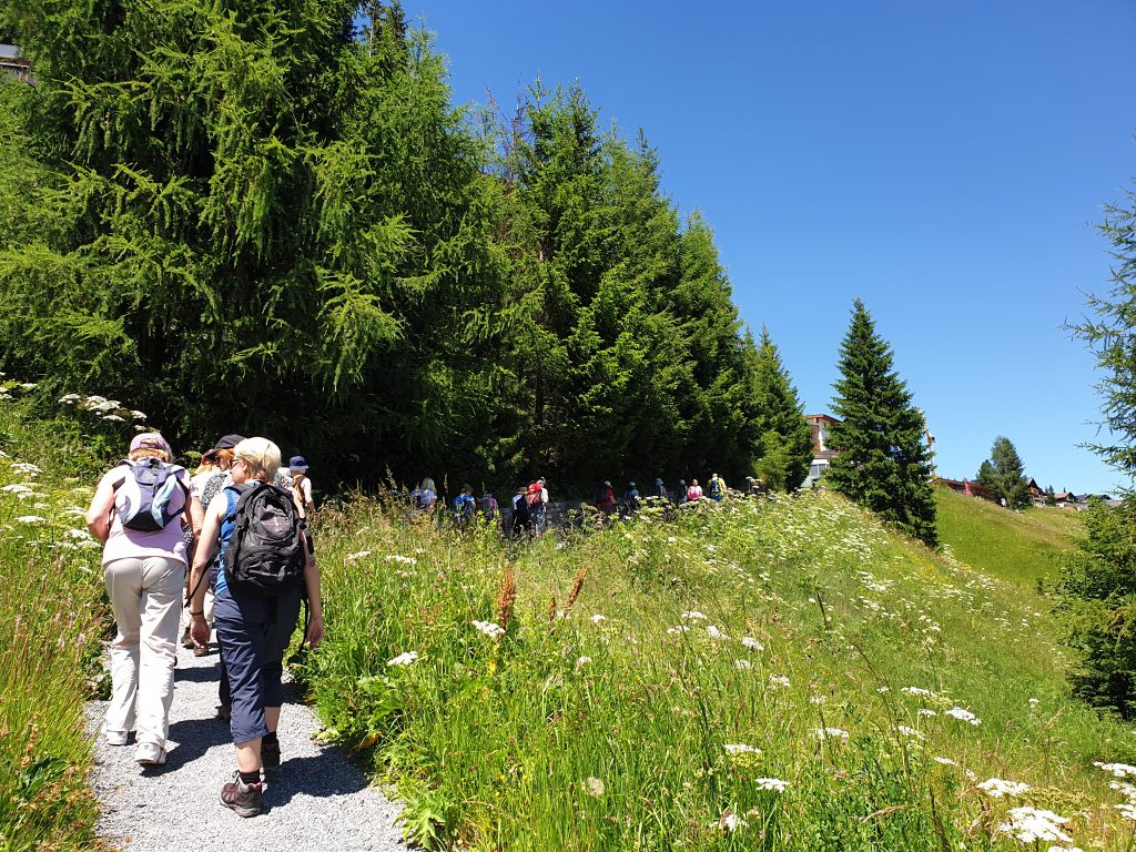 Austrian Activity Holiday group walking up a mountain track between the trees and meadow flowers