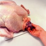 Remove the giblets, which will be in a plastic bag at the base of the bird, and reserve.