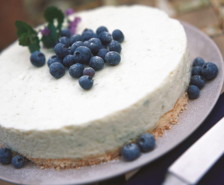 Lime cheesecake is a beautiful round dessert with a creamy looking cheesecake topping on a thin sponge base, garnished with fresh blueberries